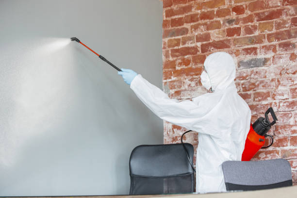 Biohazard Mold Removal in Marcellus, MI