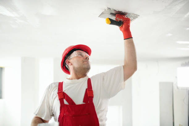 Best Basement Mold Removal  in Marcellus, MI