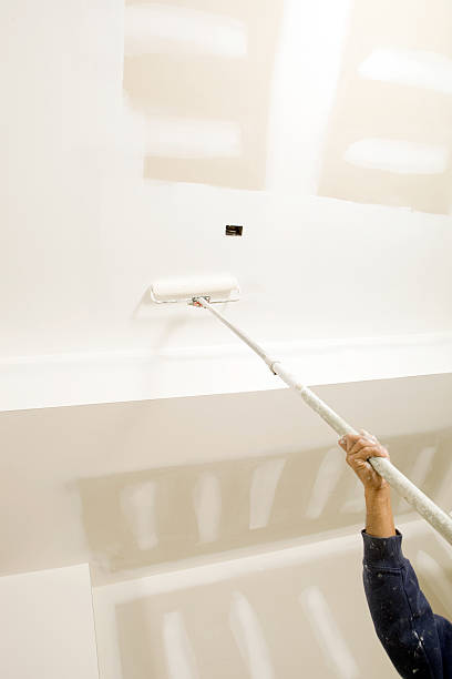 Best Environmental Consulting for Mold Prevention  in Marcellus, MI